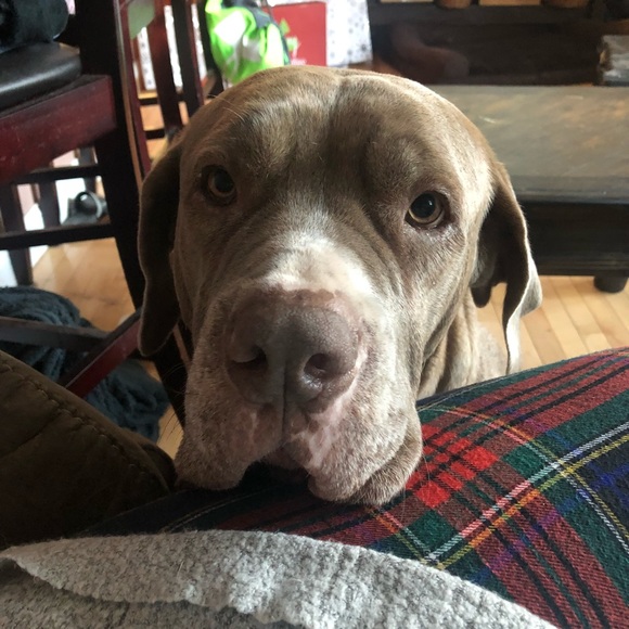 Meet your Posher, Julianne - Picture 1 of 1